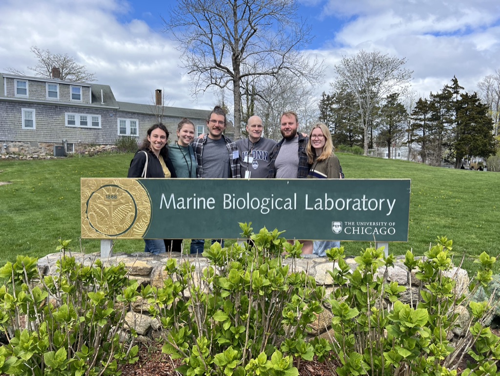 lab