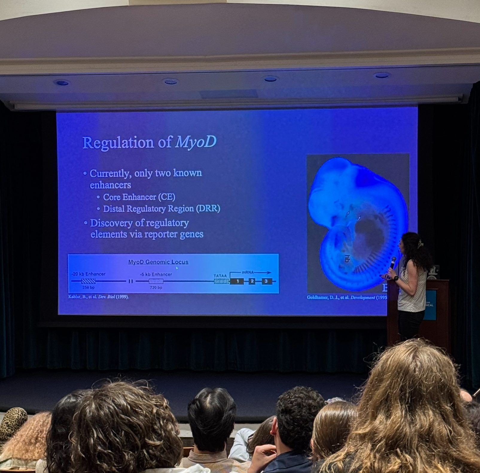 heather giving flash talk