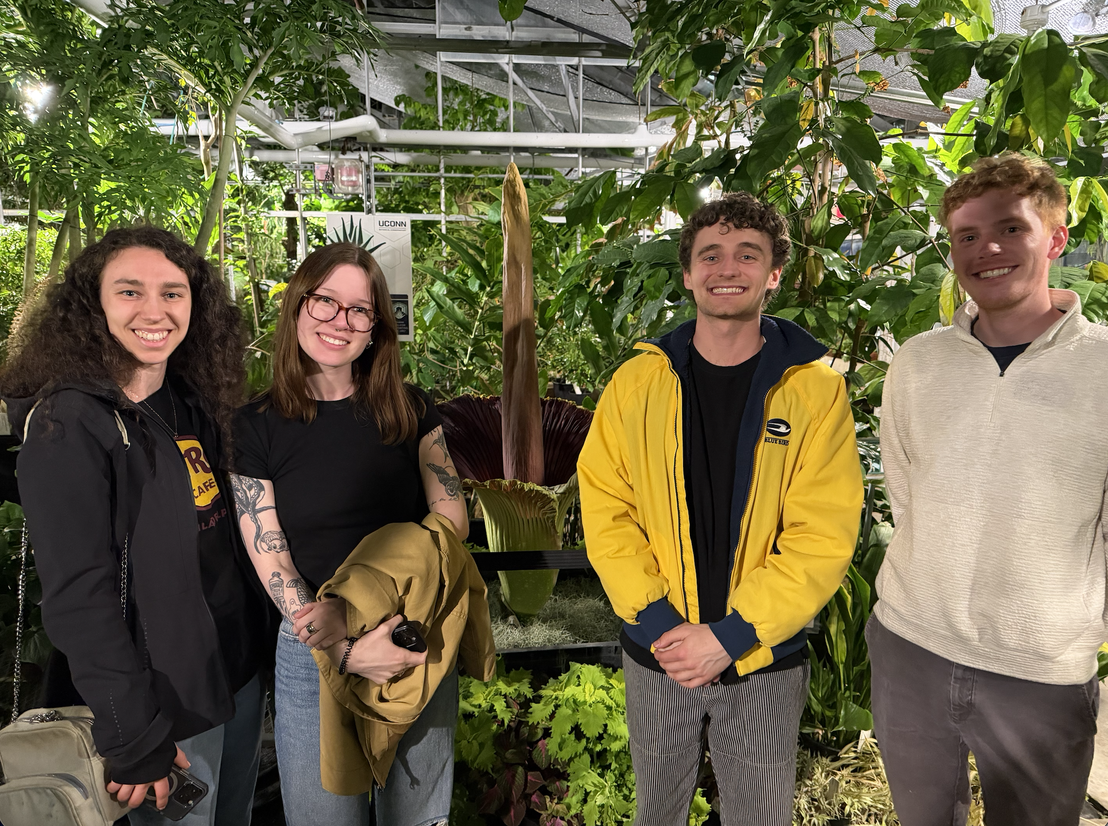 hammerheads with corpse flower