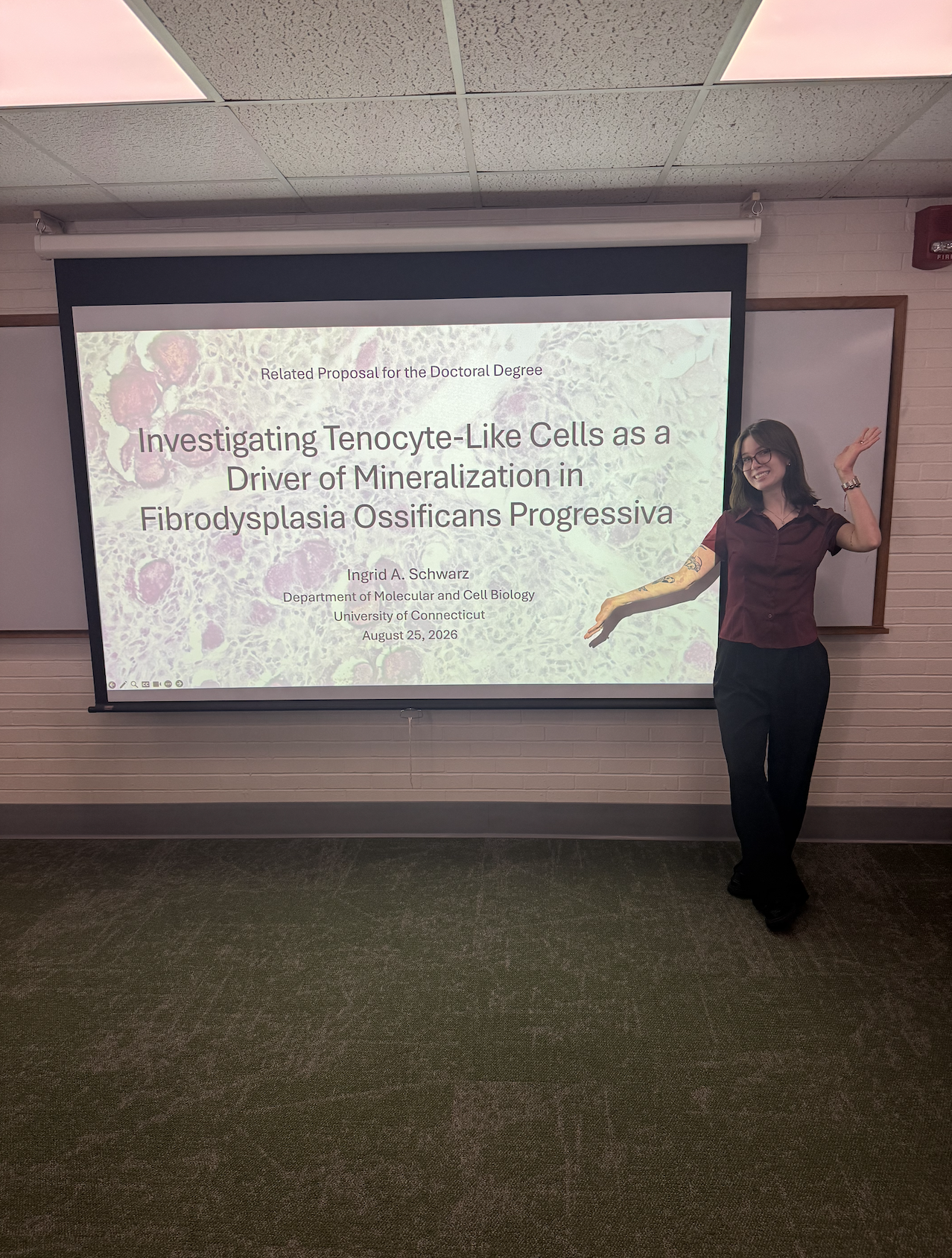 ingrid presenting